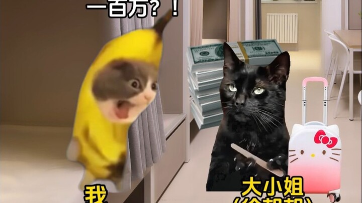 ประสบการณ์เป็นรูมเมทกับเทพเจ้าแห่งโชคลาภ «เช้าเย็นเป็นรูมเมท» 1+2