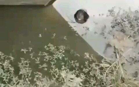 Ai mà vô ý thức thế chứ! Đến vợ cũng vứt bừa à!!!