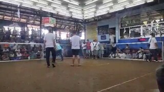 Dampalit Cockpit Arena Win Hackfight Lets Go BTCN