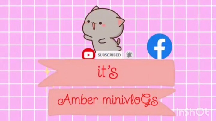 amber minivLogs please support follow and like
