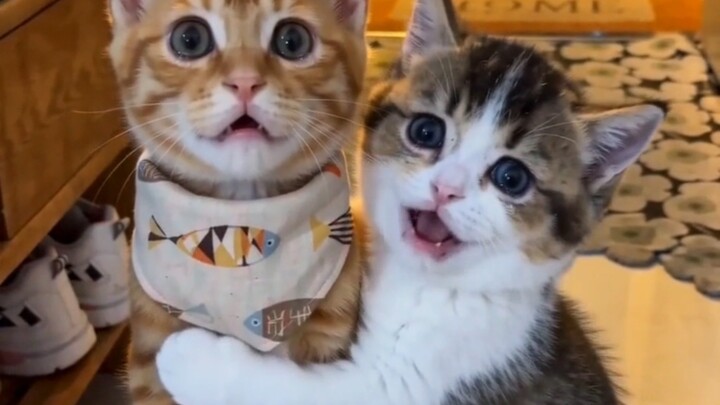 Chúng tôi đều mong được trao cho nhau tất cả những gì mình có
