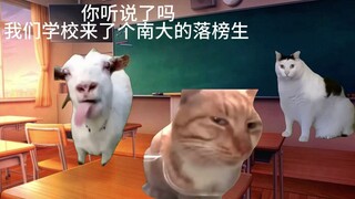 因为玩喵学长的铃铛迟到被老师罚粉丝达3万期末才能合格【猫meme】