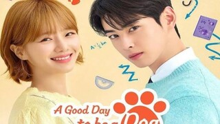 AGDTB. A Dog Eps 02 (Sub Indo)