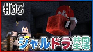 【#シャルドラ】久しぶりのシャルドラマイクラ！
