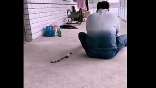 Apakah kau akan membuatku takut setengah mati?