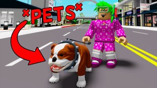 NEW UPDATE IN BROOKHAVEN RP!