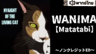 【HD】08.ดูอนิเมะ NyaightoftheLivingCat (๒๐๒๕)ดูหนังญี่ปุ่น (เต็มเรื่องพากย์ไทย) HD【 bilibil HD 】