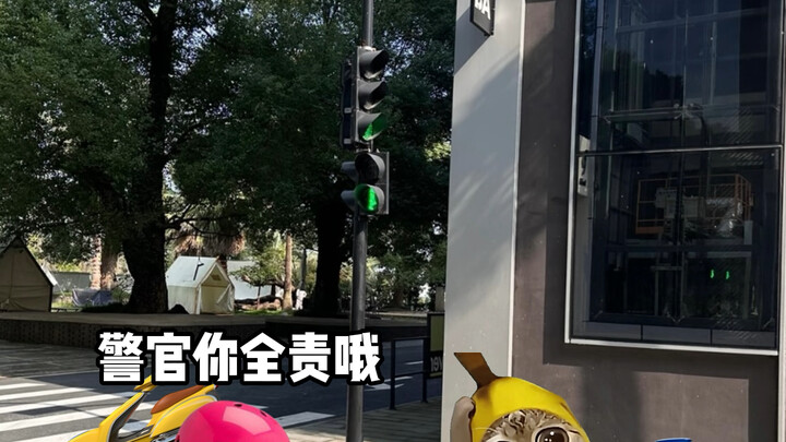 Khi Sir ấy đâm vào người dân