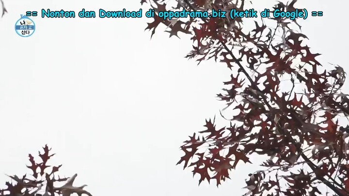 I Live Aline EPS 625