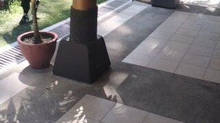 Davao city hotel water front