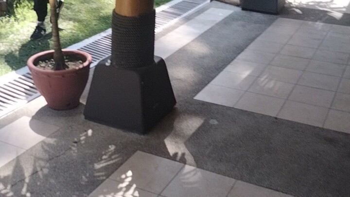 Davao city hotel water front