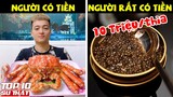 Top 10 Món Hải Sản ĐẮT GIÁ Bậc Nhất Hành Tinh, TIỀN ÍT ĐÀNH HÍT MÀ THÔI ➤ Top 10 Món Ăn Thú Vị