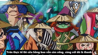 Mục Đích Của Aokiji Khi Đến Wano - Yamato Sẽ Vào Băng Mũ Rơm _ 11