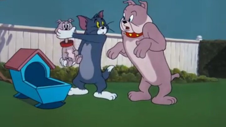 Tom and Jerry | Hicup puppy 6