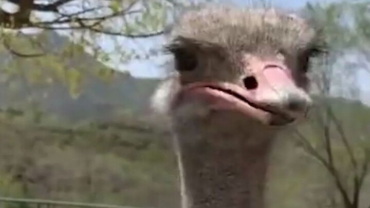 The designated person didn’t say anything nice.