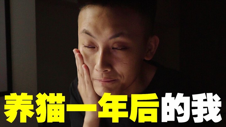 After a Year of Cat Ownership, How Did I End Up Like This? How Much Has Raising a Cat Really Cost Me