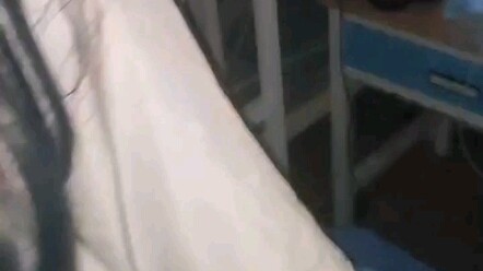 บ้าสุดขั้ว