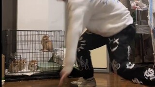 China's Great Nana rules the universe