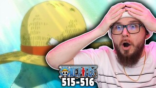 SEE YOU IN TWO YEARS! (One Piece REACTION)