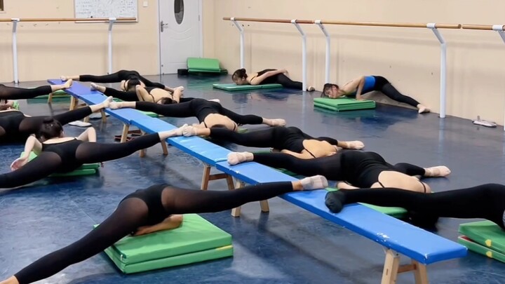 Dance studio basic training live