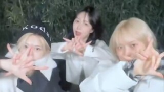 In the cold winter, dance to Chinese Christmas songs to warm your heart! 241210 Tiktok updates Funky