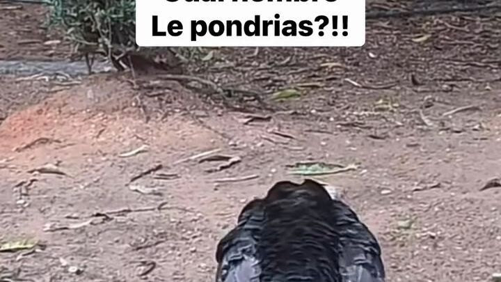 🤣🤣🤣🤣🤣🤣