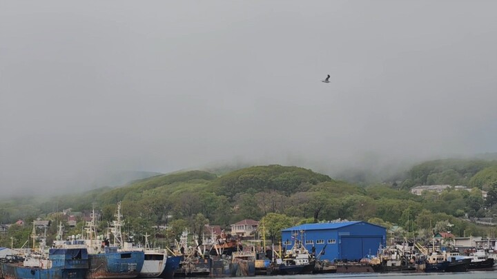 wonder of foggy mountain weather💙