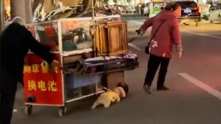 Dia sangat berusaha, berusaha keras untuk menjaga rumah yang ia cintai ini!