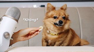 Mukbang của hoàng: Bánh tráng trộn, bánh giò, trái cây