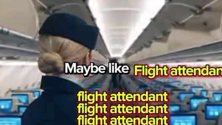 flight attendant