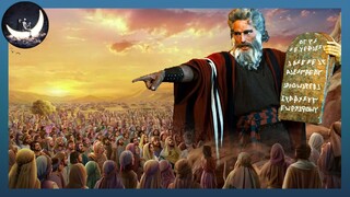 Chúng Ta Và Những Thế Giới Xa Xôi (P4): Sứ Giả Của Chúa Đã Định Sẵn Tương Lai Loài Người