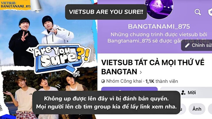 VIETSUB ARE YOU SURE