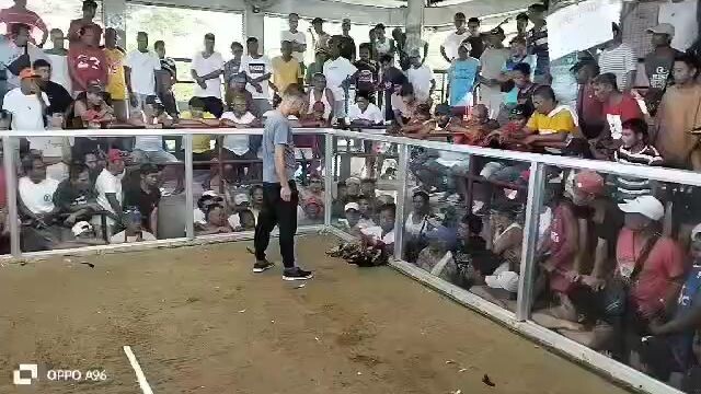 quality ang kalaban buti at nakachamba nang patama