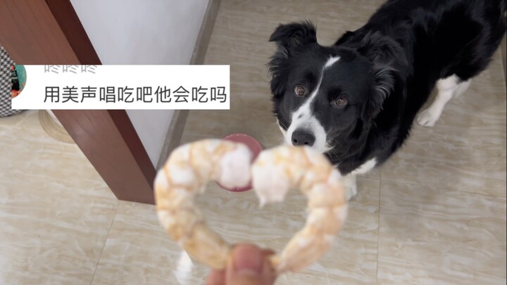 今天是音乐课