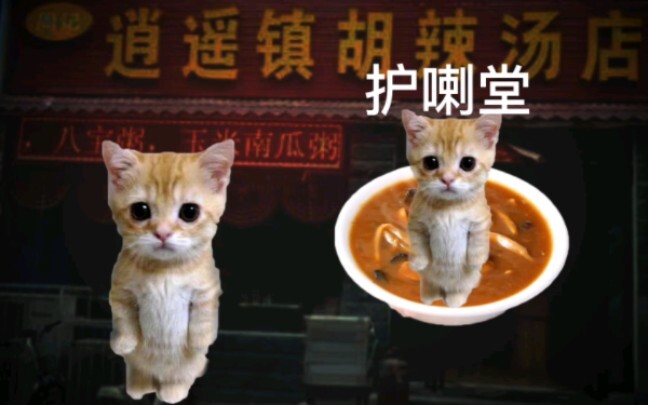 Croissant Cat || I Want a Bowl—Hula Tang!