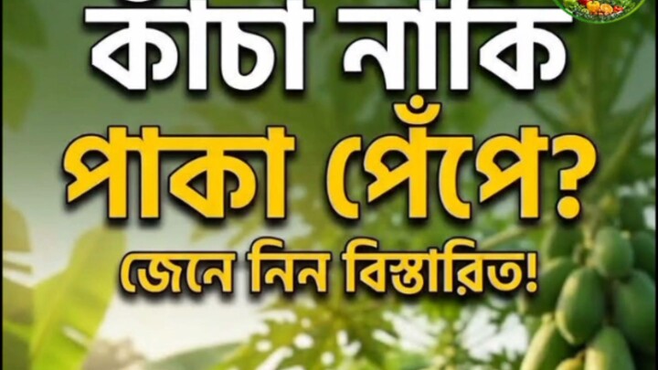 কাচা না‌কি পাকা পে‌পে খা‌বেন #‌পে‌পে, #কাচা পে‌পে