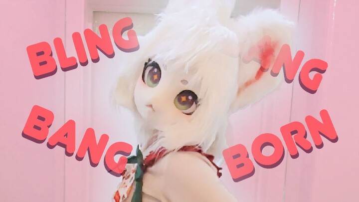 ❤️ 猫 咪 真 白 ❤️