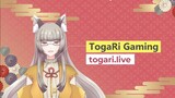 Welcome to TogaRi Gaming by Ryuuko