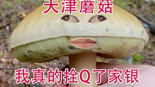 Jangan mengambil gambar jamur Tianjin di pagi hari