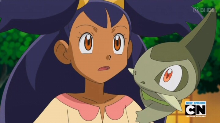Charizard is not a Dragon-type Pokemon! An Epic realization indeed.