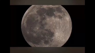 moon💖