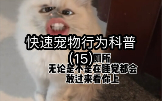 ความรู้พื้นฐานเรื่องพฤติกรรมสัตว์เลี้ยงฉบับรวดเร็ว.15
