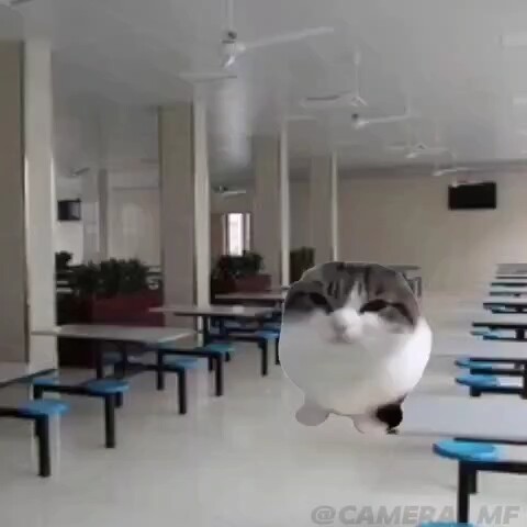 Ký Ức Quán Ăn Nhỏ (Thạch Đàm)