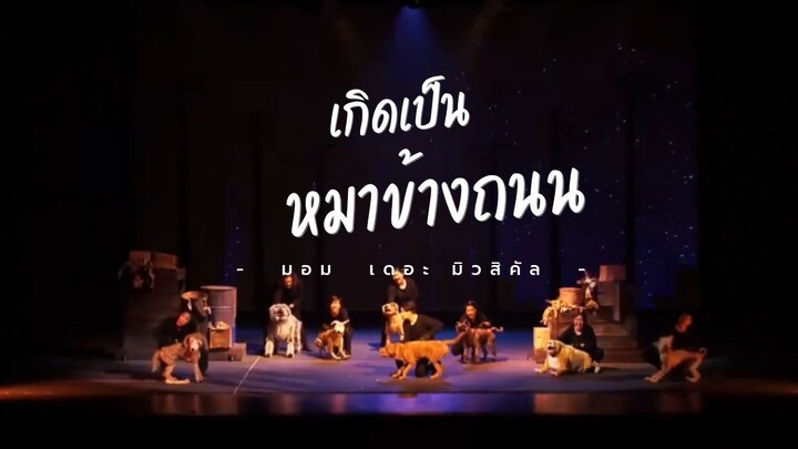 "เกิดเป็นหมาข้างถนน"  มอม เดอะมิวสิคัล