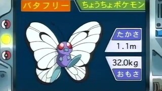 オーキド博士のポケモン講座(バタフリー)