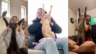 Punya kucing kecil di rumah? Trik ini bikin kucing kecil sangat senang!