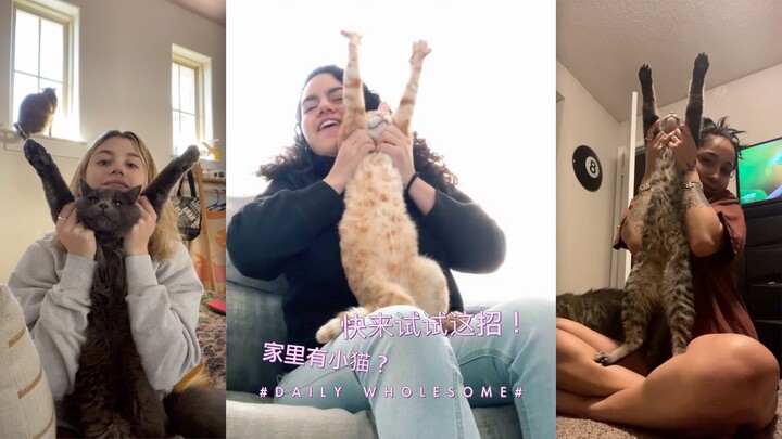 Got a kitten at home? This trick will make your little cat ecstatic!