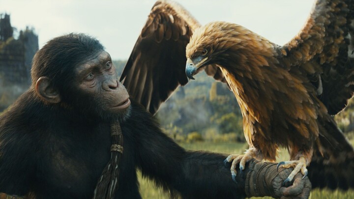 [Uncle Niu] 300 Years After Apes Rule the Planet: Humans Have Become a Rare Species—and the Ending W