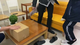 2 Anh em đón bé mèo về chúc mừng sinh nhật mẹ yêu ^^