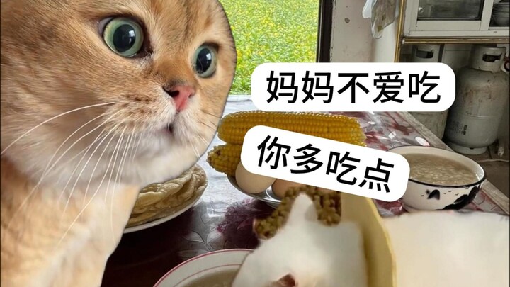 พ่อแม่สมัยก่อน vs พ่อแม่ยุคหลังปี 2000